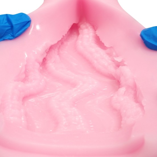 Onahole - HP Doll Paina chan Hole Edition Deluxer 425g Vaginal - Producto de Importación - Image 10